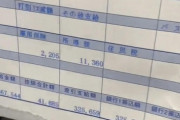 【画像】通称グエン(ベトナム人)の給料明細、流出するｗｗｗｗｗｗ