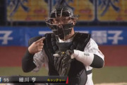 11/9 公示ｷﾀ━━(ﾟ∀ﾟ)━━!!ロッテ、現役引退の細川が今季初昇格！
