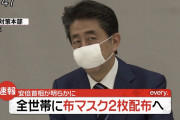 【マスク2枚】安倍政権幹部や政府高官ら、想定外の批判殺到に戸惑い「国民の理解を望む」