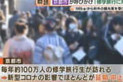 【悲報】京都市「修学旅行に来ておくれやす」新型コロナウイルスの影響で激減←これ