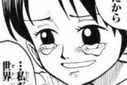 【ONEPIECE -ワンピース】くいな「女の子は強くなれない、私だって世界最強になりたいよ・・・・」←これｗｗｗｗｗ