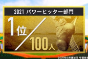 【2021】プロ野球100人分の1位　パワーヒッター部門