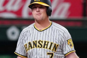 「阪神タイガースのクソ外人」と聞いて2番目に思い浮かんだ選手