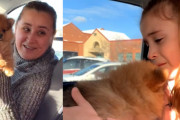 愛犬を失った娘に贈る両親からのサプライズギフトは子犬！最高のリアクションにもらい泣きしそう