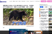 有害駆除でクマ2頭を追いかけていた70代ハンター、顔を引っかかれ重傷