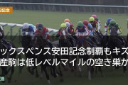 シックスペンス安田記念制覇もキズナ産駒は低レベルマイルの空き巣か