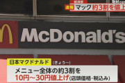 【速報】ビッグマック480円、めちゃくちゃ安かったｗｗｗｗｗｗｗｗｗ