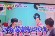 ヒルナンデス炎上してるけどお前ら的にはどうなの？