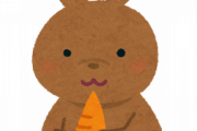 にんじん生で食うのが好きなんやが