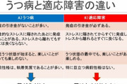 適応障害「うつと違ってストレスから離れると良くなり、趣味とかも普通に楽しめます」