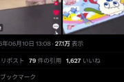 【炎上】TikTok子持ち親さん「子供がパズル完成させた瞬間目の前で破壊してみた！ｗ」大炎上