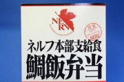 ネルフ定食というクッソ不味そうでアゴ弱いジジイ向けのメシ