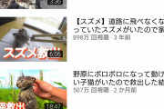 【悲報】登録者数52万人の拾い猫YouTuber、猫が急死してしまう・・・・