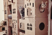 外国人「猫のために本気を出してダンボール城を作ってみた！」