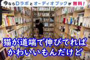 【悲報】偽ダイゴさん、ホームレス差別発言でで大炎上→弟に謝らせてしまう