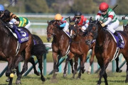 競馬ってギャンブルの割に「まあ、たまにならいいんじゃないの」くらいの市民権を得てへんか