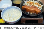 【画像】吉野家の新メニュー美味しそう