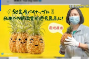 【悲報】台湾産パイナップルが突然日本から消えた理由が判明wwww