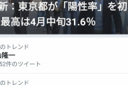馬鹿パヨク、検察が安倍に乗っ取られたと大騒ぎ！Twitterトレンド1位#検察庁法改正案に抗議します |  なんで調べないんだろパヨクって  |  なんで定年延長だけでここまで騒ぐの？