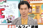 【悲報】ぽかぽか、上半期で笑えたのが「ルフィ逮捕おお！」しかない