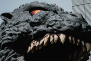 じゃあゴジラ何と戦わせればお前ら「名作！」って言うんだよ、ああ？