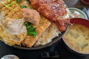【画像あり】ダブルかつ丼の「片側」が無能過ぎる…