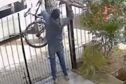 【動画】自転車泥棒さん、狙っちゃいけない家に侵入してしまう。