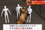 ヒグマ撃退の件、クマの首に『刺し傷』見つかる　登山中の男性を襲ったクマと同一個体か