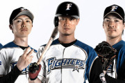 北海道日本ハムファイターズに足りていないもの