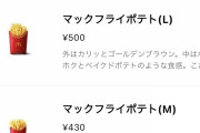 【速報】マクドナルド、ポテトM,Lサイズ割引祭り復活ｗｗｗｗｗｗｗｗｗｗ　（画像あり）