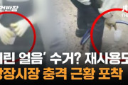 韓国の観光地で「ゴミ箱をあさって氷入りカップの氷を再利用」が暴露されてしまう……でもまあ、韓国ではそれなりにありがちなことよね
