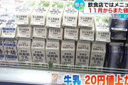 【悲報】11月は乳製品やスナック菓子などが値上げ　10月に続き値上げラッシュが止まらない＼(^o^)／