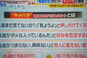 任天堂や鬼滅が流行る日本って正直頭おかしいよな