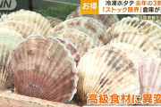 ホタテ業界「もう…これ以上は限界だ…」。ストック解放　ついに割引価格で市場に流れ始める