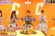 【日向坂46】大勝利！日向坂出演「格付けチェック」視聴率が歴代最高を記録してしまう！！！！！