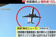 【済州航空事故】鳥専門chのYouTuberに誹謗中傷が殺到「鳥のせいで数百人が亡くなったのに、こんな時にまだチャンネルを運営するのか」