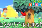 【悲報】あつまれ どうぶつの森「虫がリアル過ぎて気持ち悪い」の声があがる