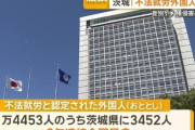 【速報】不法外国人通報で報奨金ｗｗｗｗｗｗｗｗｗｗｗｗｗｗｗｗｗｗｗｗｗｗｗｗｗｗｗｗｗｗｗｗｗｗｗｗｗｗｗｗｗｗ
