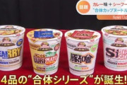 【飲食】カップヌードル超える製品を出せず『日清がご乱心』…トンデモ商品を連発ｗｗｗｗｗ