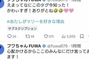 【朗報】フワ氏、芸能活動休止中にファンコミュニティでイキってしまい流出