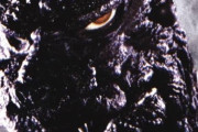 84年版ゴジラを今見ると見方が変わるね