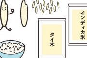 【タイ米ではない？】国産の”長粒米”に脚光・・・カレーブームの影響か？