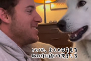 「ちがう！私の後に続いて発音しろ」マラミュートに犬語を教わる飼い主