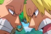 【悲報】サンジとゾロ、戦闘力に圧倒的な差がついてしまうｗｗｗ