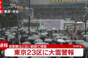【緊急】 東京、大雪警報