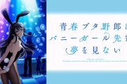 【青春ブタ野郎はバニーガール先輩の夢を見ない】ってアニメあったじゃんか？？？？？