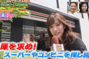 【悲報】宇垣美里さん、若い娘が現れ用無しになる