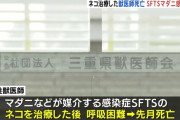 ネコの治療をした獣医師が死亡、マダニ感染症疑い