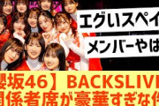 【櫻坂46】BACKSLIVEの関係者席のメンバーが豪華すぎる件