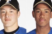 【公示】日ハム、吉田輝星と万波を登録　石川直也が登録抹消